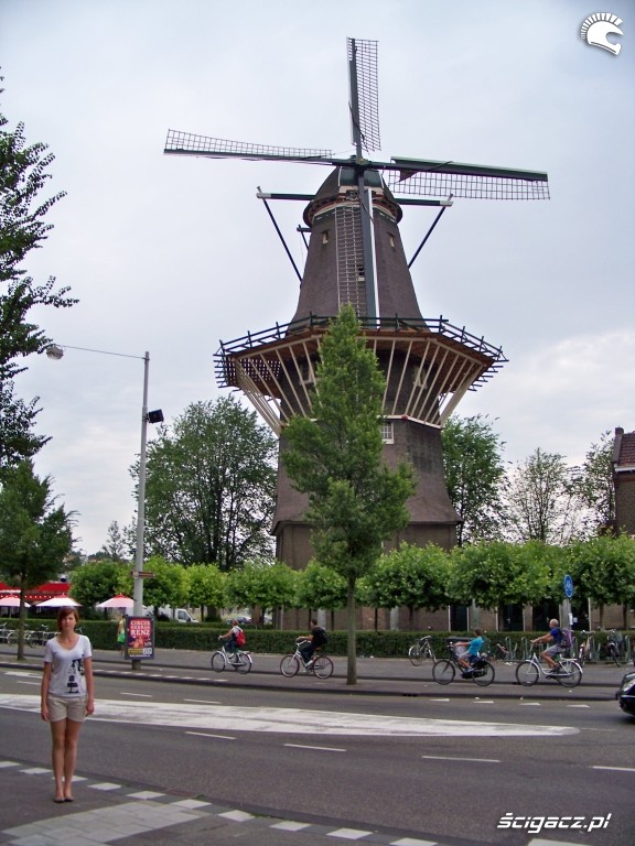 mlyn Amsterdam