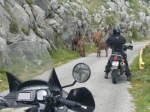 Balkany na motocyklu 2007 065