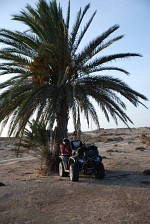 Libia Quad Adventure staples pod palma
