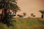 Staples ciagnie zdezaka Libia Quad Adventure