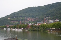Heidelberg panorama z brzegu