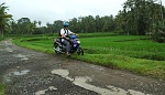 Bali skuter