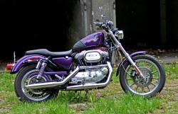 Harley Davidson Sportster 1200 bok