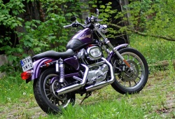 Harley Davidson Sportster 1200 prawy tyl