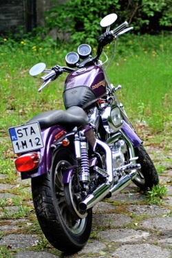 Harley Davidson Sportster 1200 tyl 2