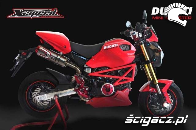 projekt Ducati