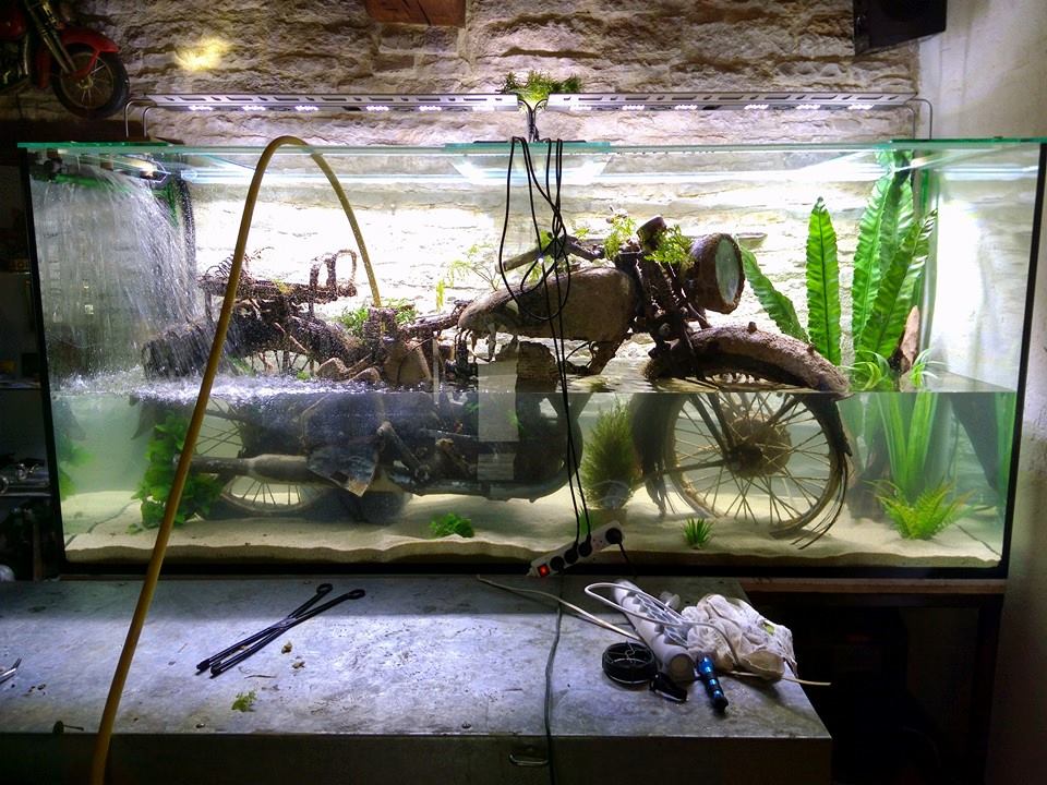 Motocyklowe akwarium 7 z