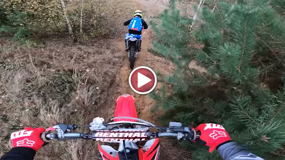 ANGRY PEOPLE Niszczymy ich sadzonki  z