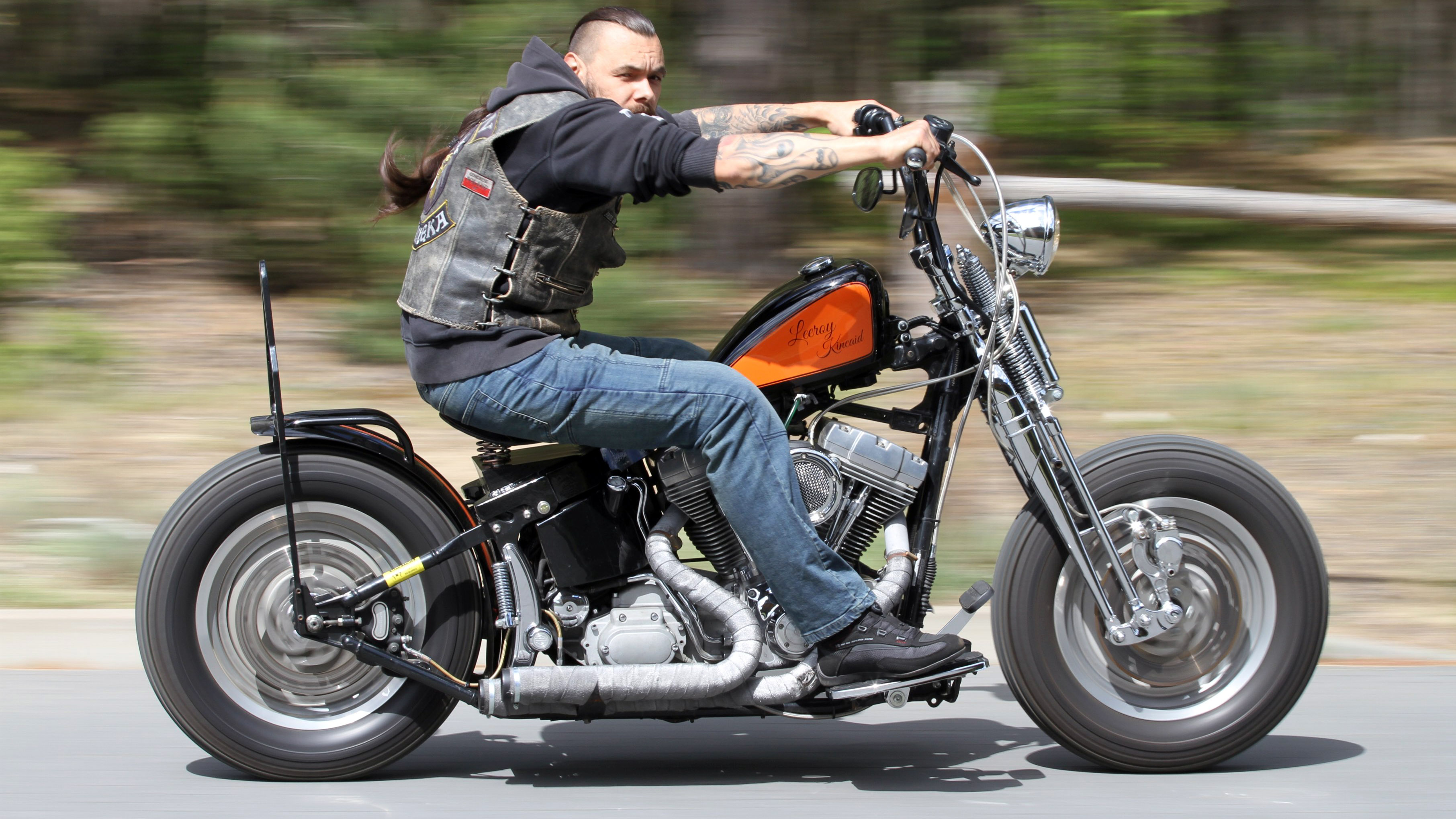 Harley Davidson Softail Standard 2003 custom Malbor z