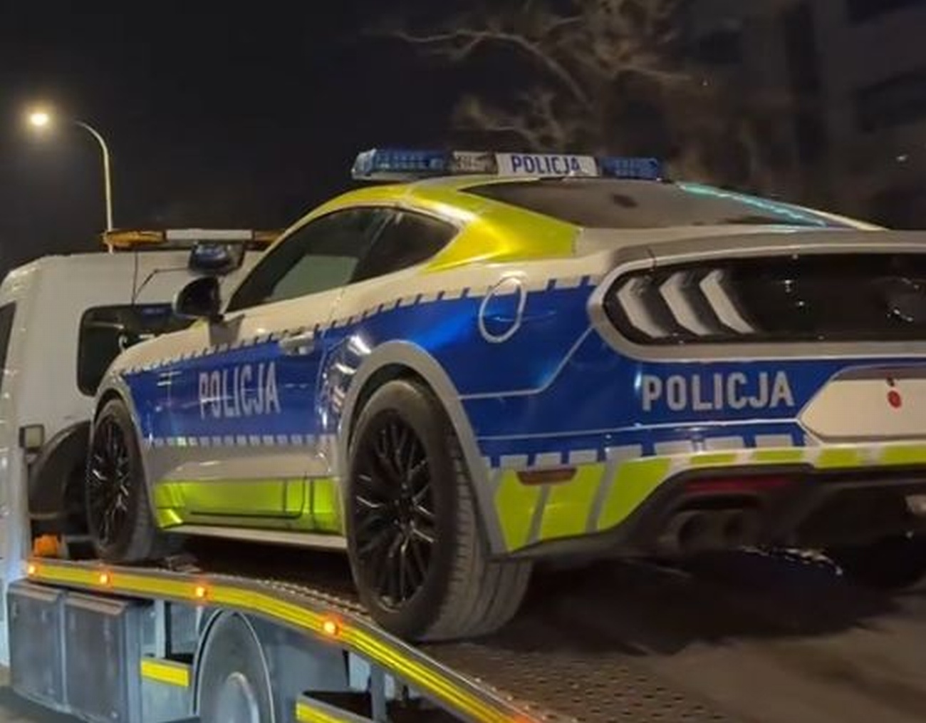 policyjny mustang 1 z