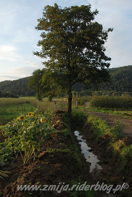 Beskidy pejzaz