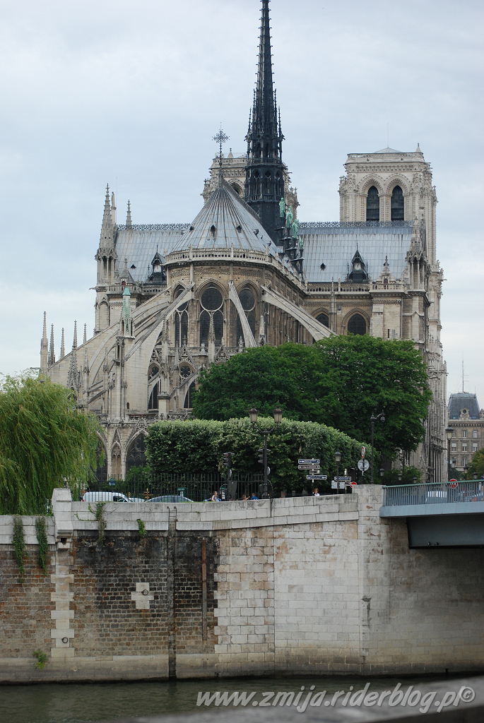 Notre Dame z oddali